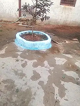 CUTE khusabi online show from 01-18-26, 06:28