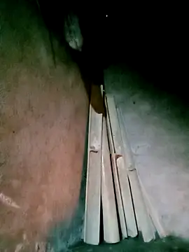 Diana-02 online show from 03-24-26, 11:15