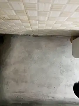 nmducnb online show from 04-19-26, 08:13