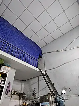 Snapshot of Famrita chatting on 01-19-26, 01:31 Famrita online show from 01-19-26, 01:31