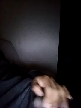 CorrectMusic2 online show from 02-11-26, 09:03