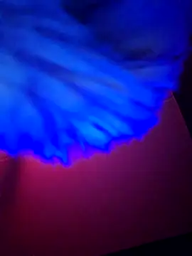 dewimp1 online show from 02-06-26, 06:18