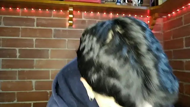 PaulDamico online show from 02-02-26, 12:15