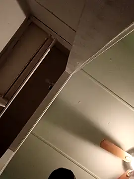 Snapshot of JoshingExegesis chatting on 03-01-26, 04:14 JoshingExegesis online show from 03-01-26, 04:14