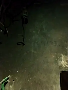 Snapshot of Hoa-tuylip chatting on 02-13-26, 01:29 Hoa-tuylip online show from 02-13-26, 01:29