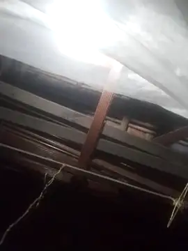 Snapshot of degeneradicto chatting on 02-15-26, 05:04 degeneradicto online show from 02-15-26, 05:04