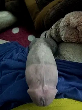 amirMohamed58 online show from 02-23-26, 09:23