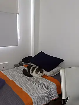 Snapshot of Nikolth_4 chatting on 02-04-26, 03:18 Nikolth 4 online show from 02-04-26, 03:18