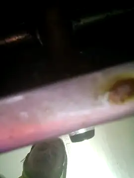 Snapshot of khushi_rawat chatting on 02-12-26, 02:17 khushi rawat online show from 02-12-26, 02:17