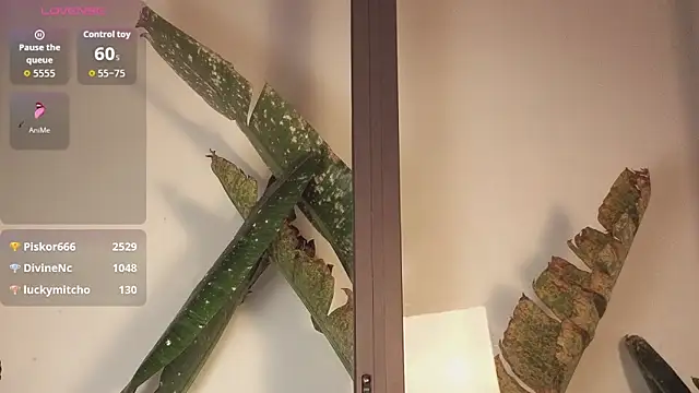 Snapshot of came-a-lot chatting on 02-22-26, 08:18 came-a-lot online show from 02-22-26, 08:18