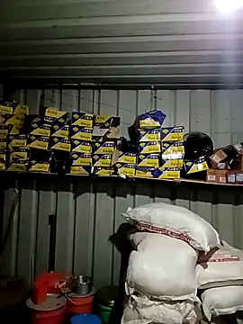 Krishna-10 online show from 02-02-26, 01:54