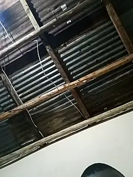 dwalez online show from 11-25-25, 07:36