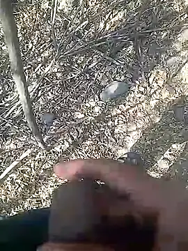 Snapshot of Cute_Boy_4 chatting on 02-23-26, 08:01 Cute Boy 4 online show from 02-23-26, 08:01