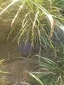 Snapshot of Cute_Boy_4 chatting on 02-27-26, 02:44 Cute Boy 4 online show from 02-27-26, 02:44