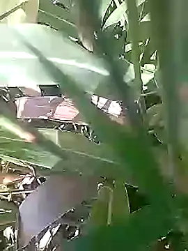 Snapshot of Cute_Boy_4 chatting on 03-01-26, 05:09 Cute Boy 4 online show from 03-01-26, 05:09