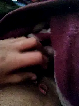 crazyxy12 online show from 02-12-26, 05:02