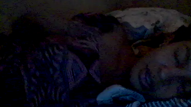 Snapshot of lorraine2036 chatting on 02-17-26, 02:57 lorraine2036 online show from 02-17-26, 02:57