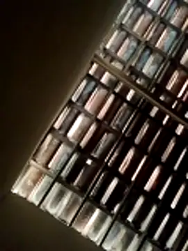 Snapshot of lorraine2036 chatting on 02-22-26, 09:52 lorraine2036 online show from 02-22-26, 09:52