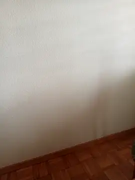 baipal74 online show from 02-19-26, 12:45