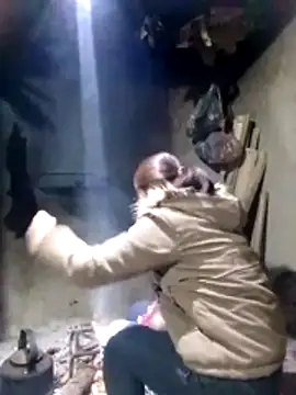 maimai1100 online show from 02-03-26, 12:42