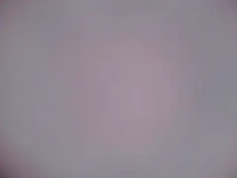 Snapshot of Luanatrav1 chatting on 02-21-26, 07:31 Luanatrav1 online show from 02-21-26, 07:31