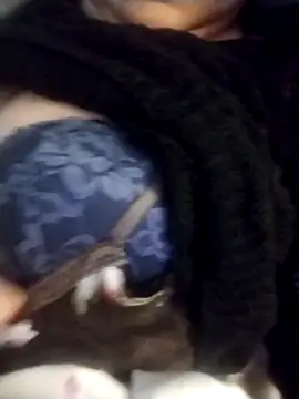 oxavector online show from 02-03-26, 08:08