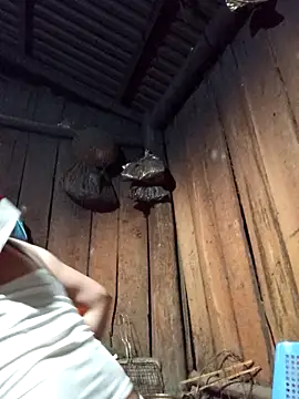 lena-cute online show from 02-05-26, 12:54