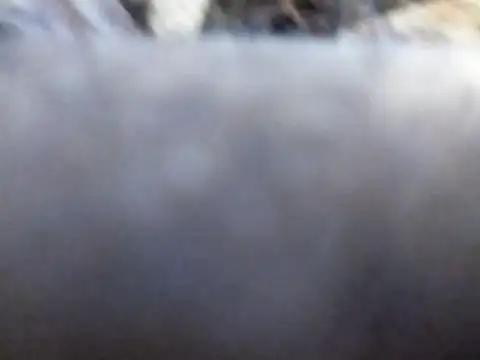 Joecool1009 online show from 02-03-26, 12:31