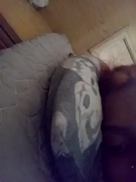 Snapshot of loveofpetitegirls34 chatting on 02-21-26, 08:26 loveofpetitegirls34 online show from 02-21-26, 08:26