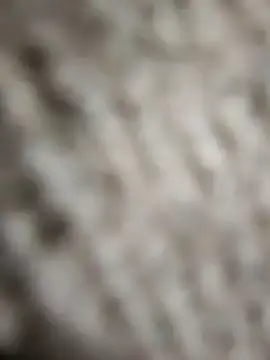 Flexxxo09 online show from 02-04-26, 02:01