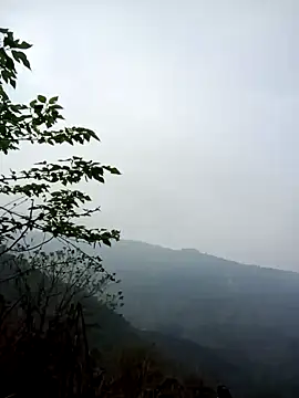 cuunon11 online show from 03-01-26, 12:45