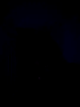 Telugucouple69 online show from 02-15-26, 10:17