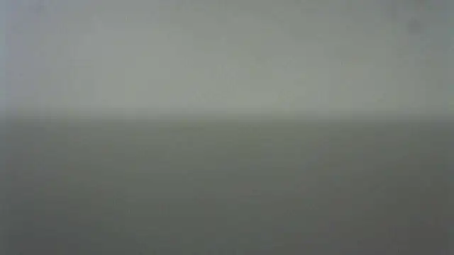 Thommas8a online show from 02-22-26, 04:02