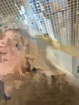 Snapshot of -OliviaSoft chatting on 03-01-26, 02:41 -OliviaSoft online show from 03-01-26, 02:41