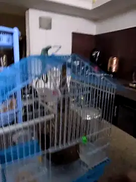 Snapshot of sexysilmy chatting on 02-25-26, 08:35 sexysilmy online show from 02-25-26, 08:35