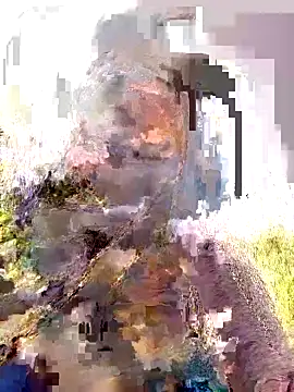 Pallavi hote online show from 02-22-26, 06:02