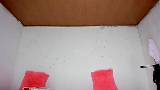 Snapshot of karol_kane chatting on 02-13-26, 03:19 karol kane online show from 02-13-26, 03:19