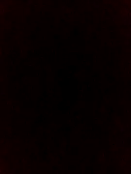 falcon2589 online show from 02-25-26, 01:04