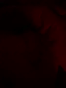 shark822 online show from 02-26-26, 09:03