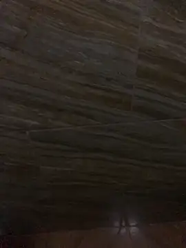 King cotize online show from 02-26-26, 06:01