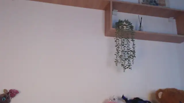 SPICYKC online show from 04-07-26, 03:01