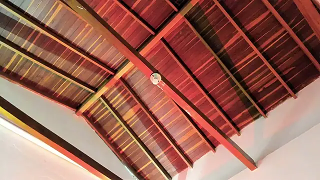 TonyPetrovjs online show from 04-03-26, 06:00