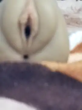 Snapshot of Mikecrazyhy chatting on 02-25-26, 03:16 Mikecrazyhy online show from 02-25-26, 03:16