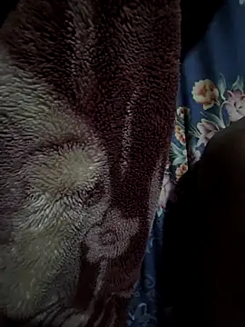 rmriya online show from 02-27-26, 04:40