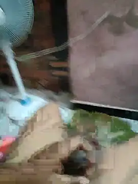 Daddy 883 online show from 03-10-26, 12:48