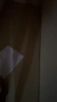 LocalToka online show from 03-23-26, 05:55