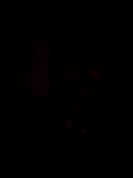 onliveme69 online show from 04-08-26, 07:52