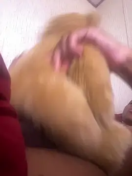 Bigcock127 online show from 03-24-26, 06:57