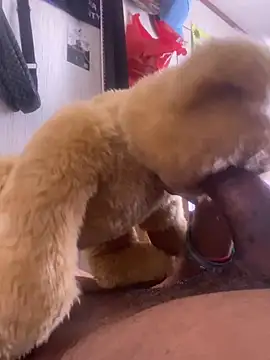 Bigcock127 online show from 03-26-26, 08:25