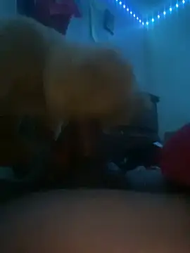 Bigcock127 online show from 03-31-26, 08:37